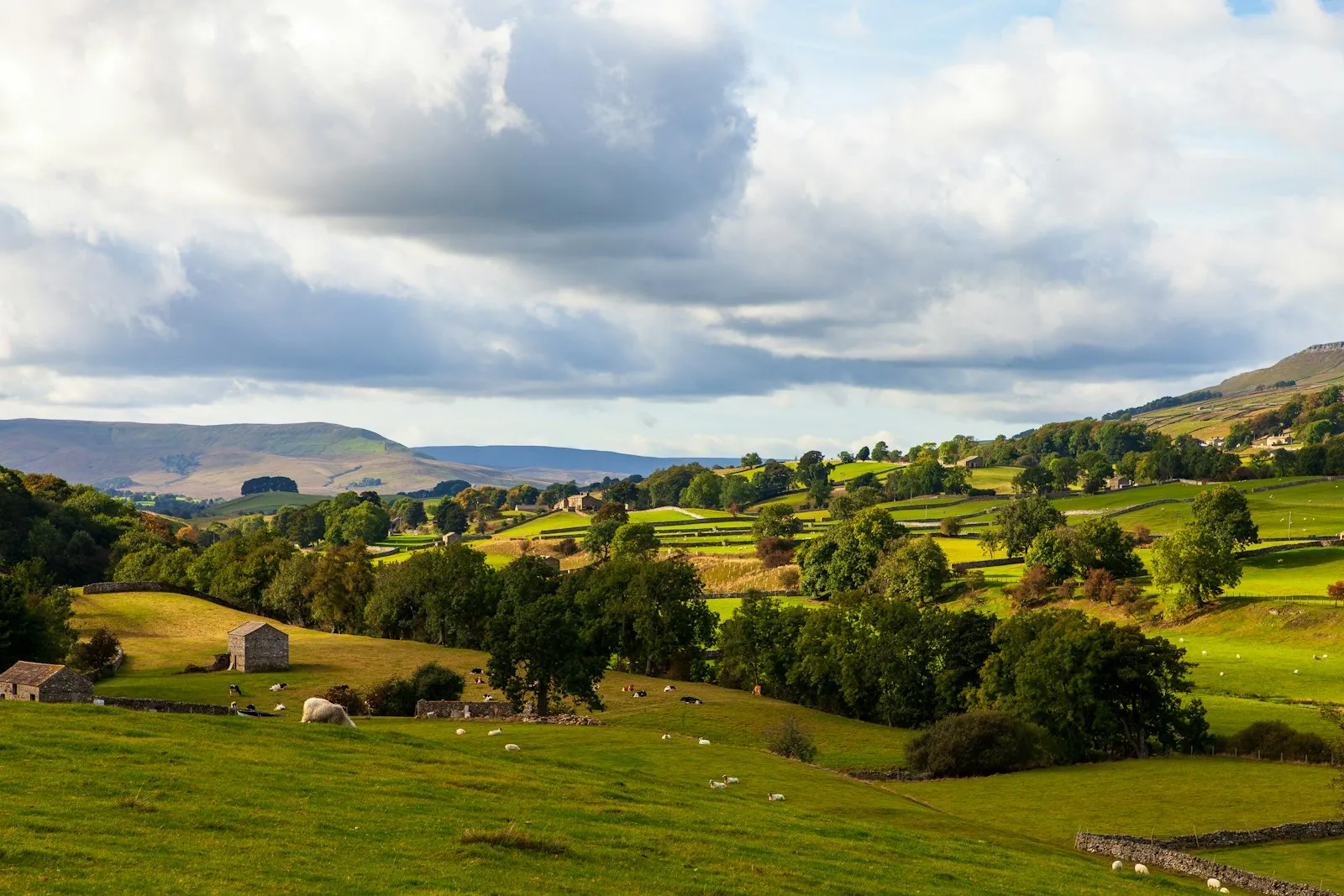 Rolling English countryside — typical Bedfordshire farmland